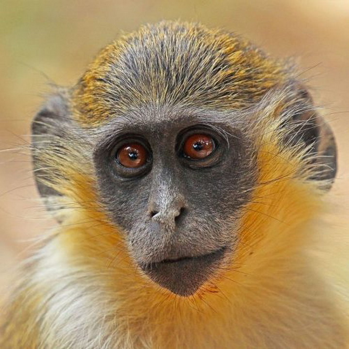  Ocean Aquarium Park u Protarasu 